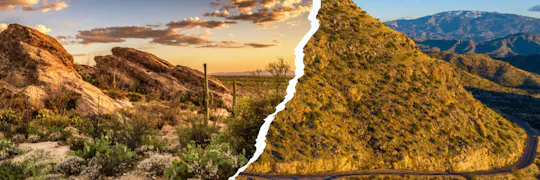 Saguaro National Park en Mt. Lemmon audiotour met gids