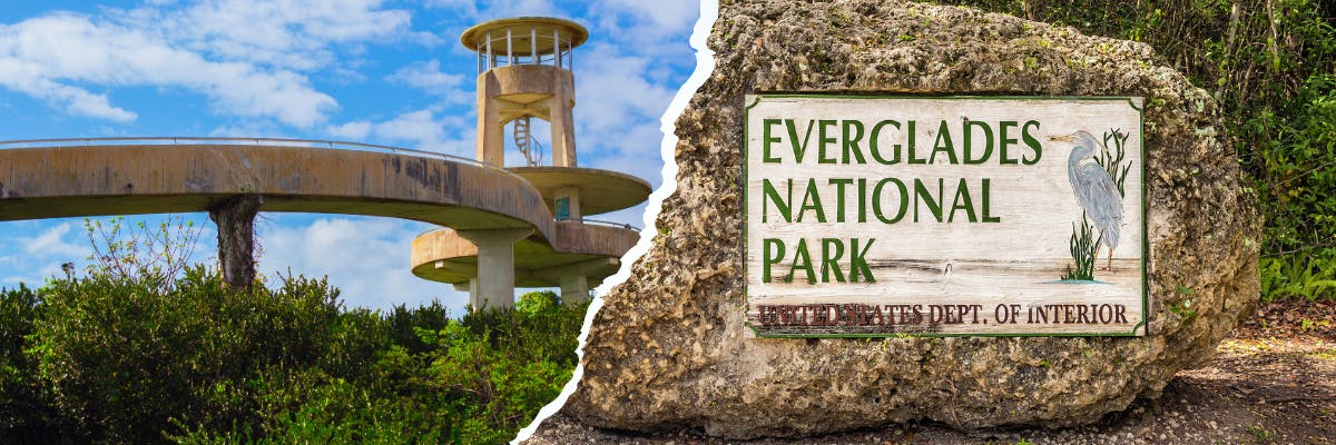 Visite autoguidée en voiture des Everglades et des parcs Big Cypress