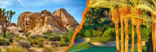 Joshua Tree en Palm Springs audiotour met gids
