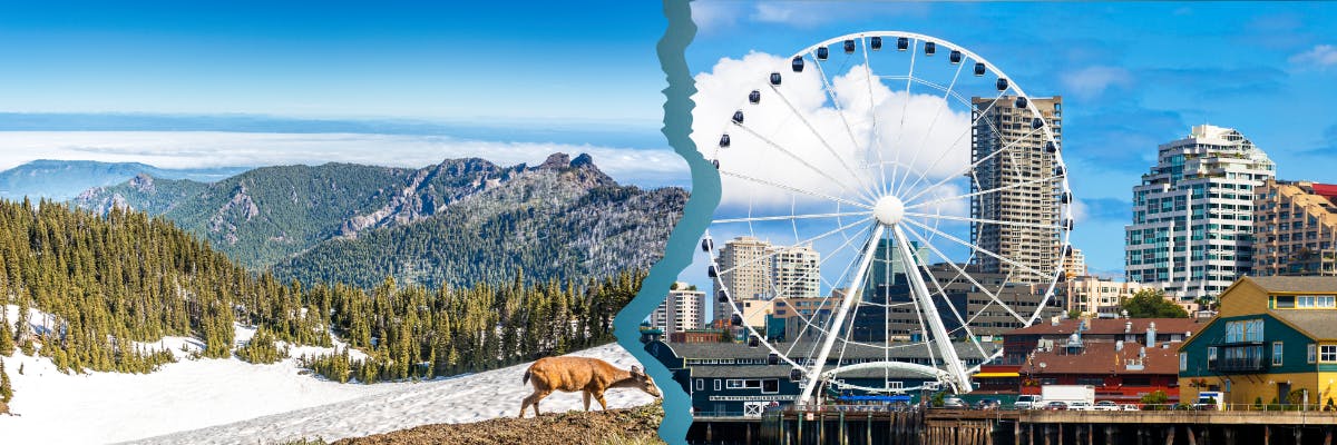 Seattle And Olympic National Park Self-Guided Audio Tour