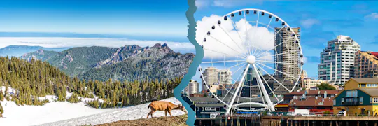 Visite audioguidée de Seattle et du parc national olympique