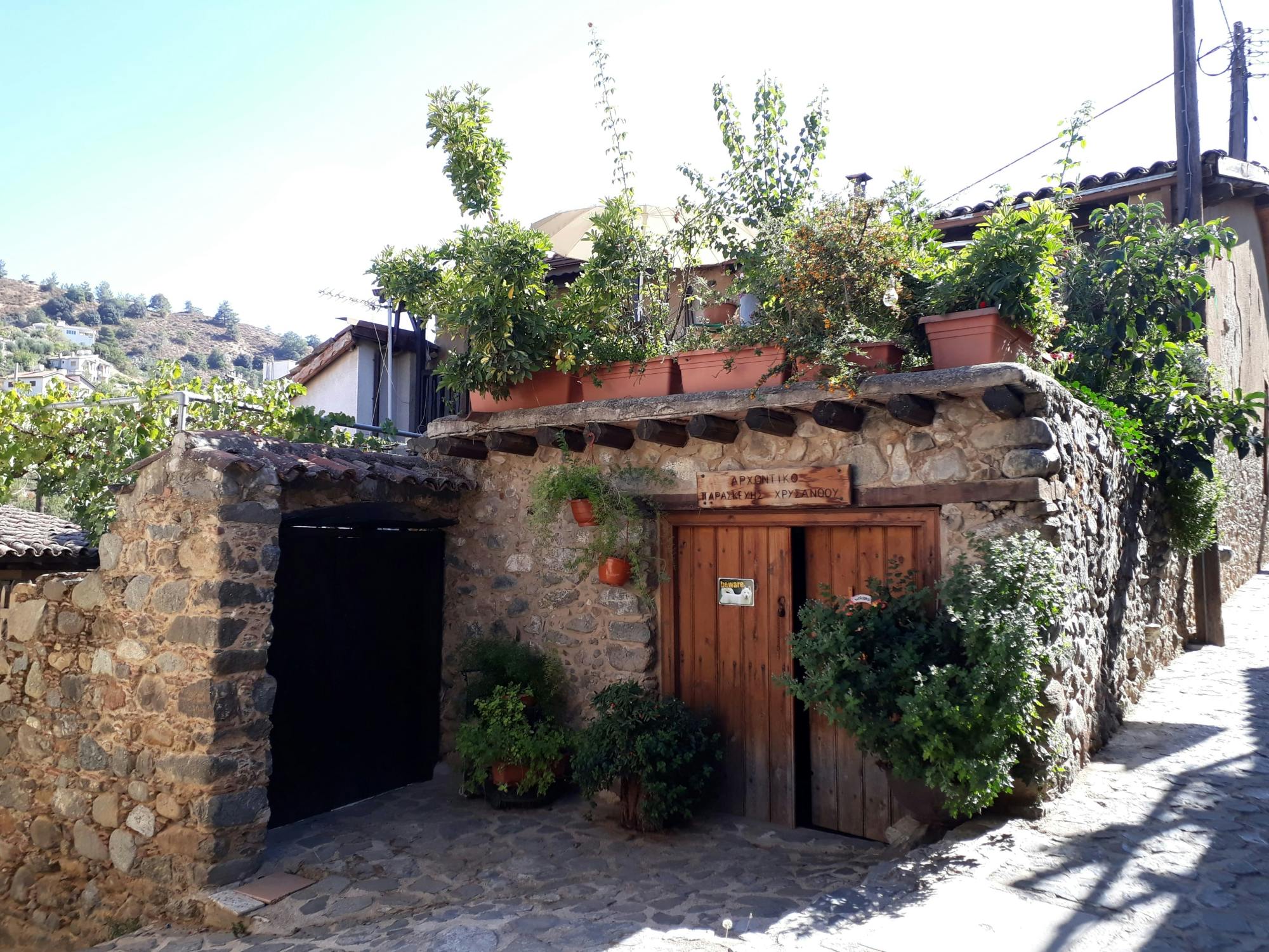 Nicosia, Troodos and Larnaca tour with a local guide