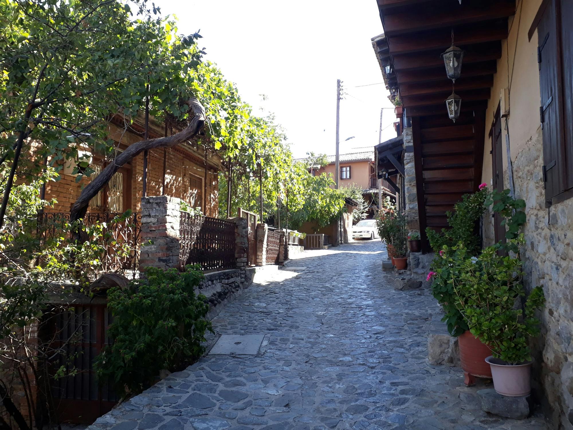 Nicosia, Troodos and Larnaca tour with a local guide