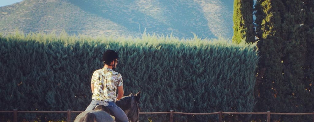 Kavala Area Tour with Equestrian Club and Wax Museum Visit