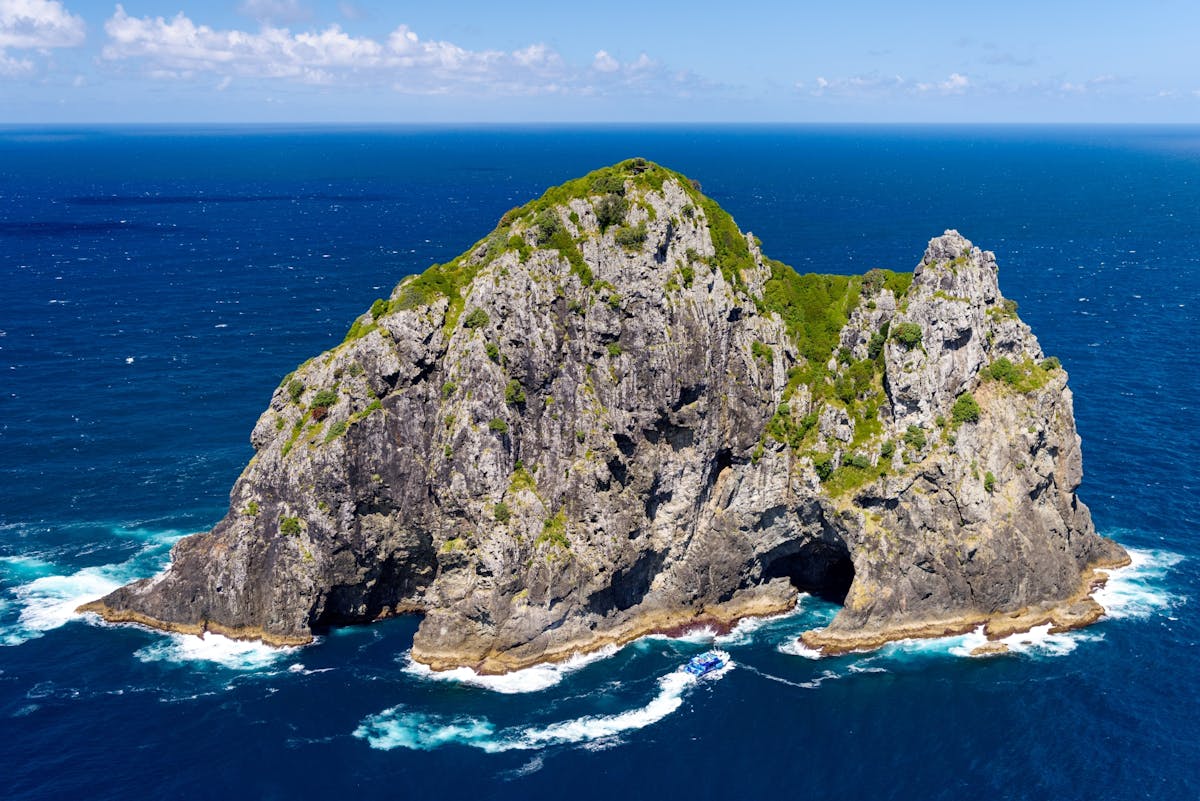 Dagtocht per boot van Auckland naar Bay of Islands