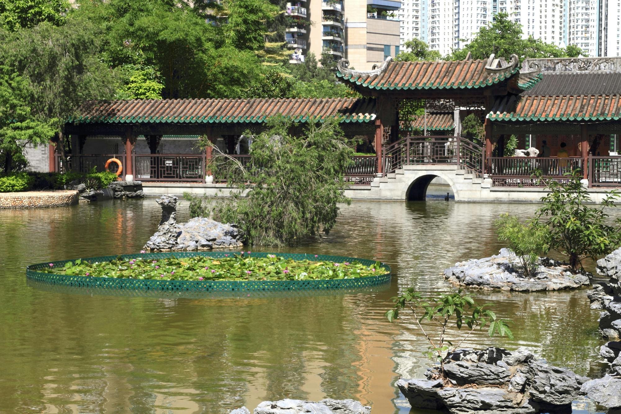 Recorrido gastronómico por Shunde, Guangdong, desde Cantón