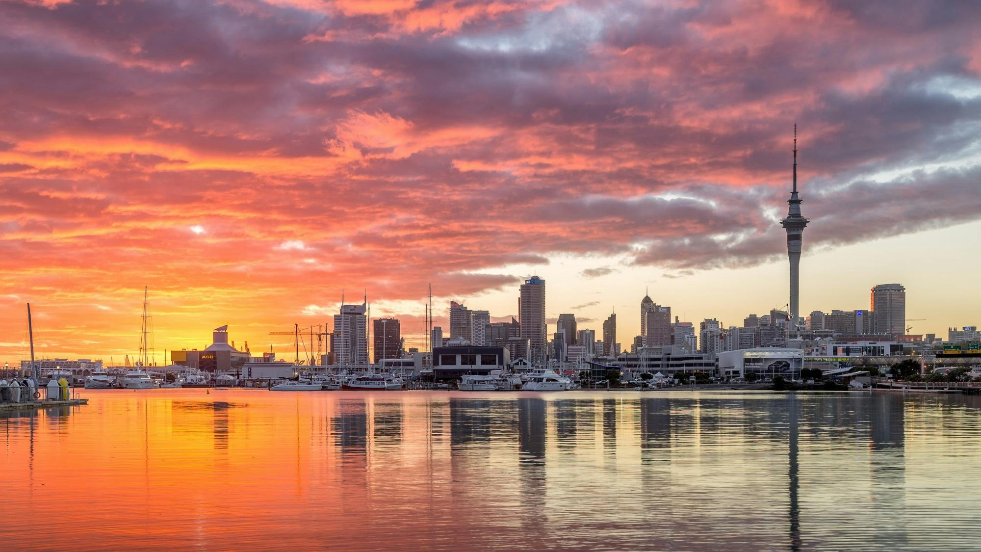 Entdecken Sie Auckland City Tour