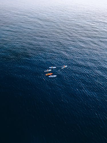 Eco Island Adventure Stand-up Paddle or Kayaking Guided Tour with Snorkelling