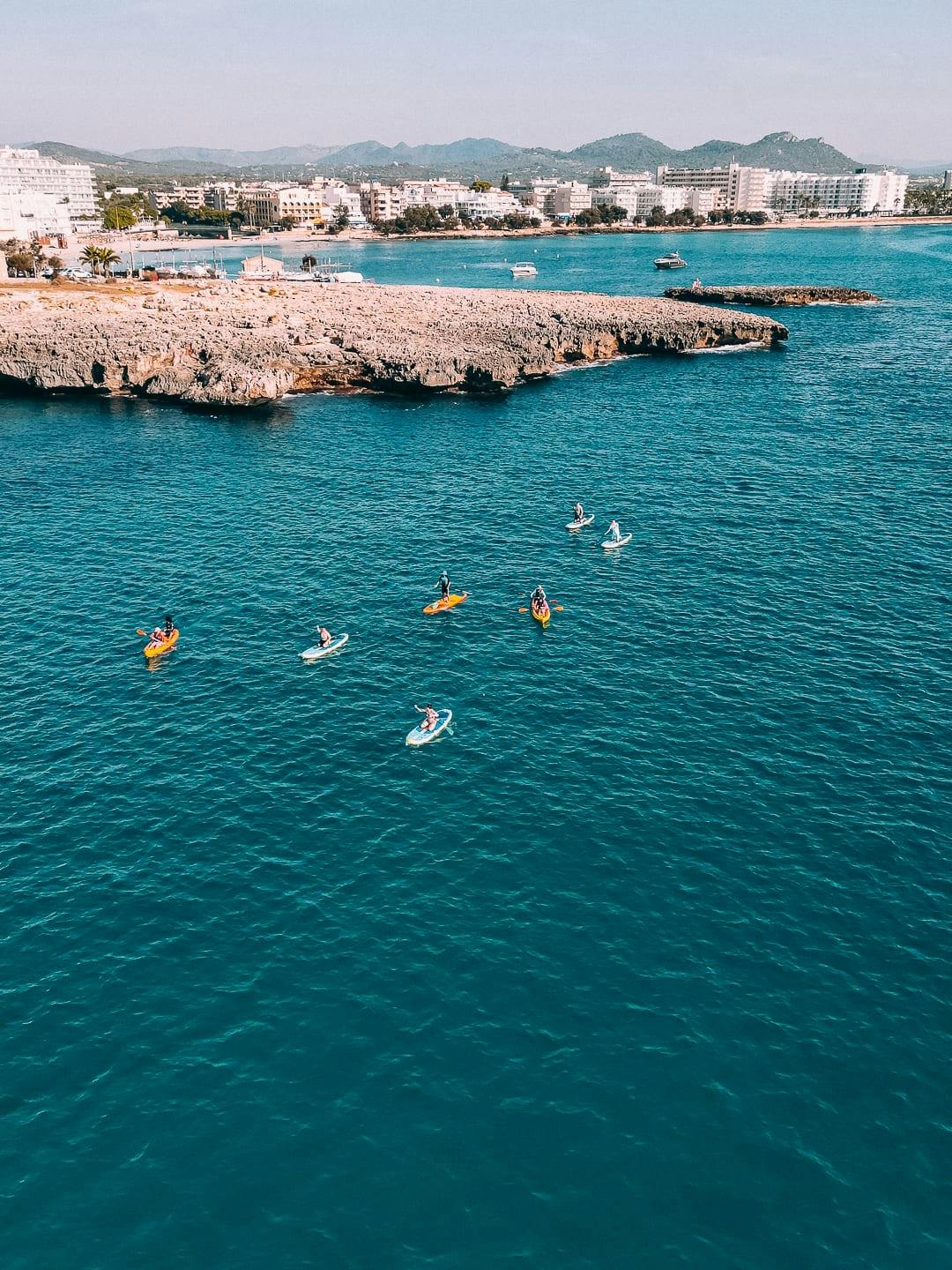 Eco Island Adventure Stand-up Paddle or Kayaking Guided Tour with Snorkelling