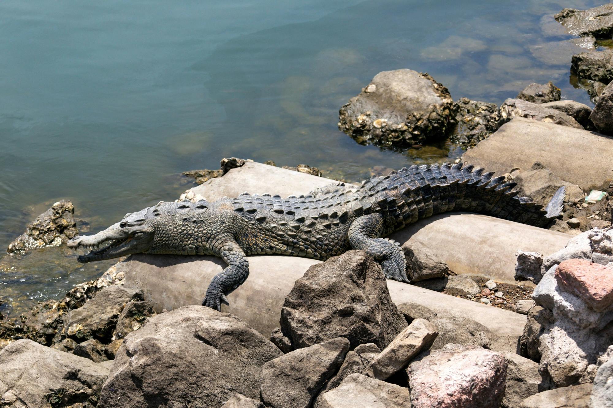 Puerto Vallarta Luxury Yacht & Snorkelling Tour