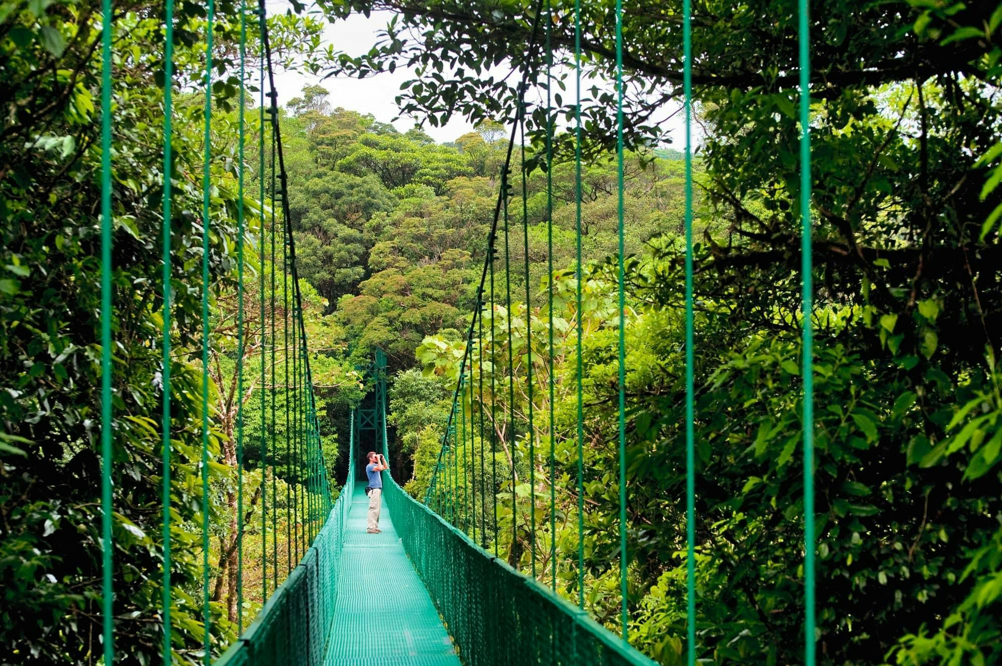 Arenal Mistico Park Hanging Bridges Tour