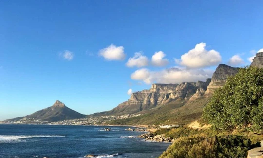 Marine Wildlife Boat Cruise and Cape Peninsula Tour