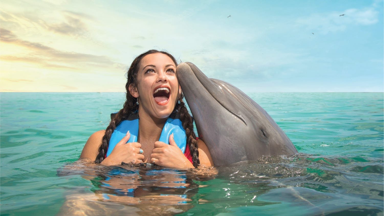 Dolphin Give me All-Inclusive Package with Garrafon Park Tour