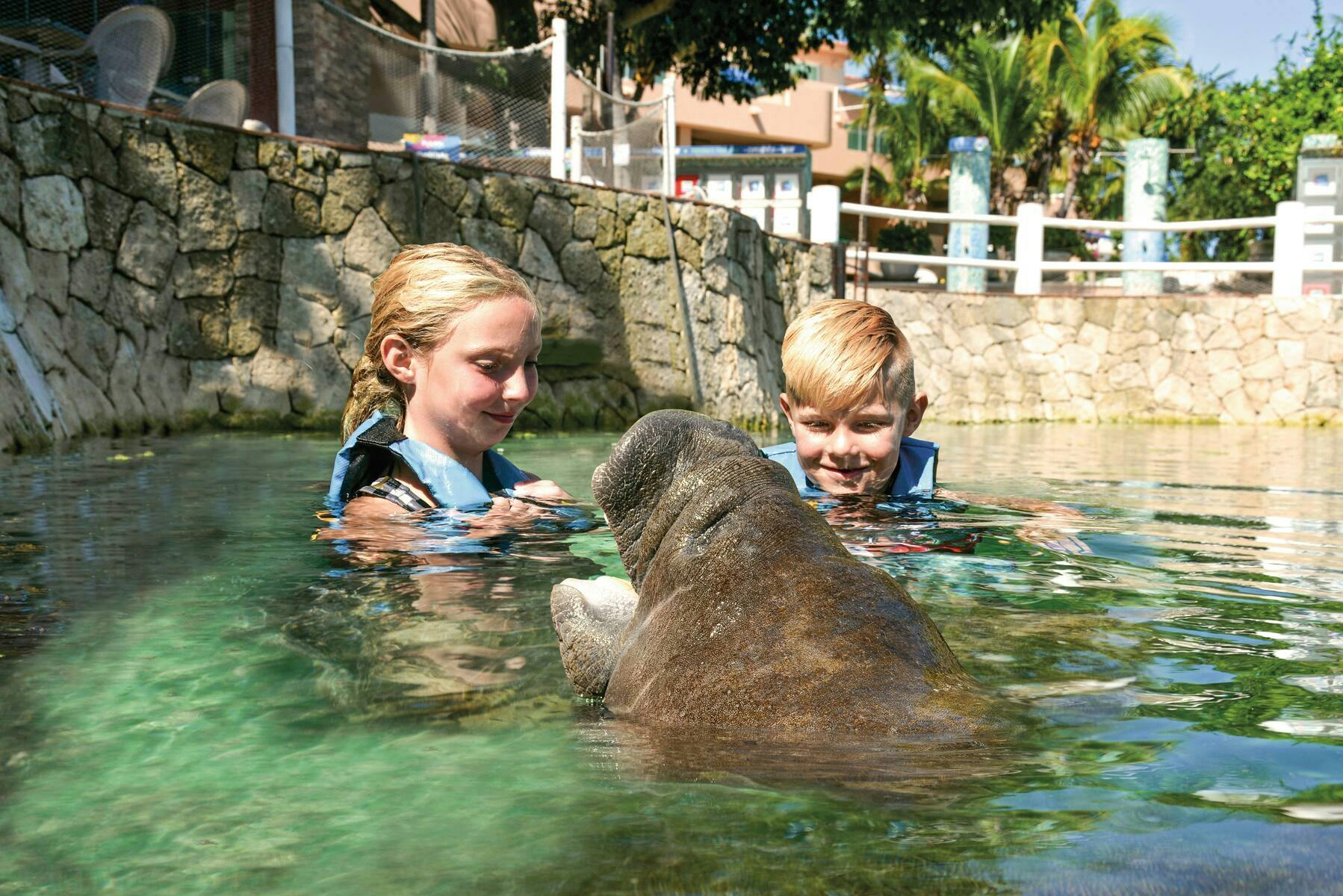 Royal Dolphin Swim Experience at Puerto Aventuras