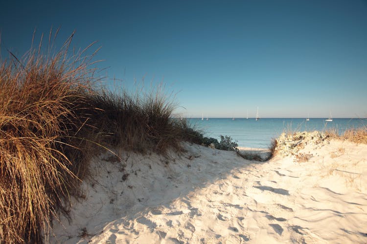 Mallorca photo tour of Colònia de Sant Jordi and Es Trenc Beach