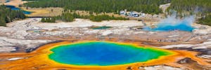 Yellowstone National Park: Sightseeing Tours