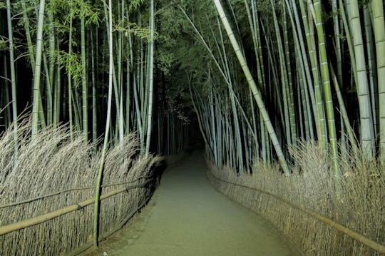 Caccia ai fantasmi nella foresta di bambù di Arashiyama di notte