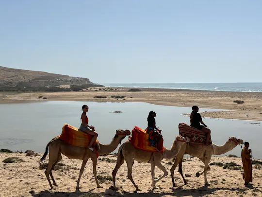 Kamelreiten und marokkanischer Tee am Tamri-Strand – ab Agadir oder Taghazout