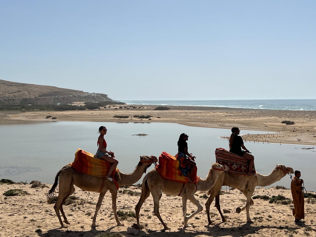 Kameelrijden en Marokkaanse thee op het Tamri strand vanuit Agadir of Taghazout