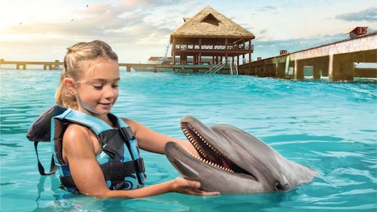 Dolphin Give me All-Inclusive Package with Garrafon Park Tour