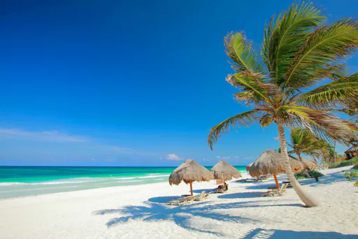 Tulum, Cenote Swim, Turtle Snorkelling & Beach Club Combo Tour