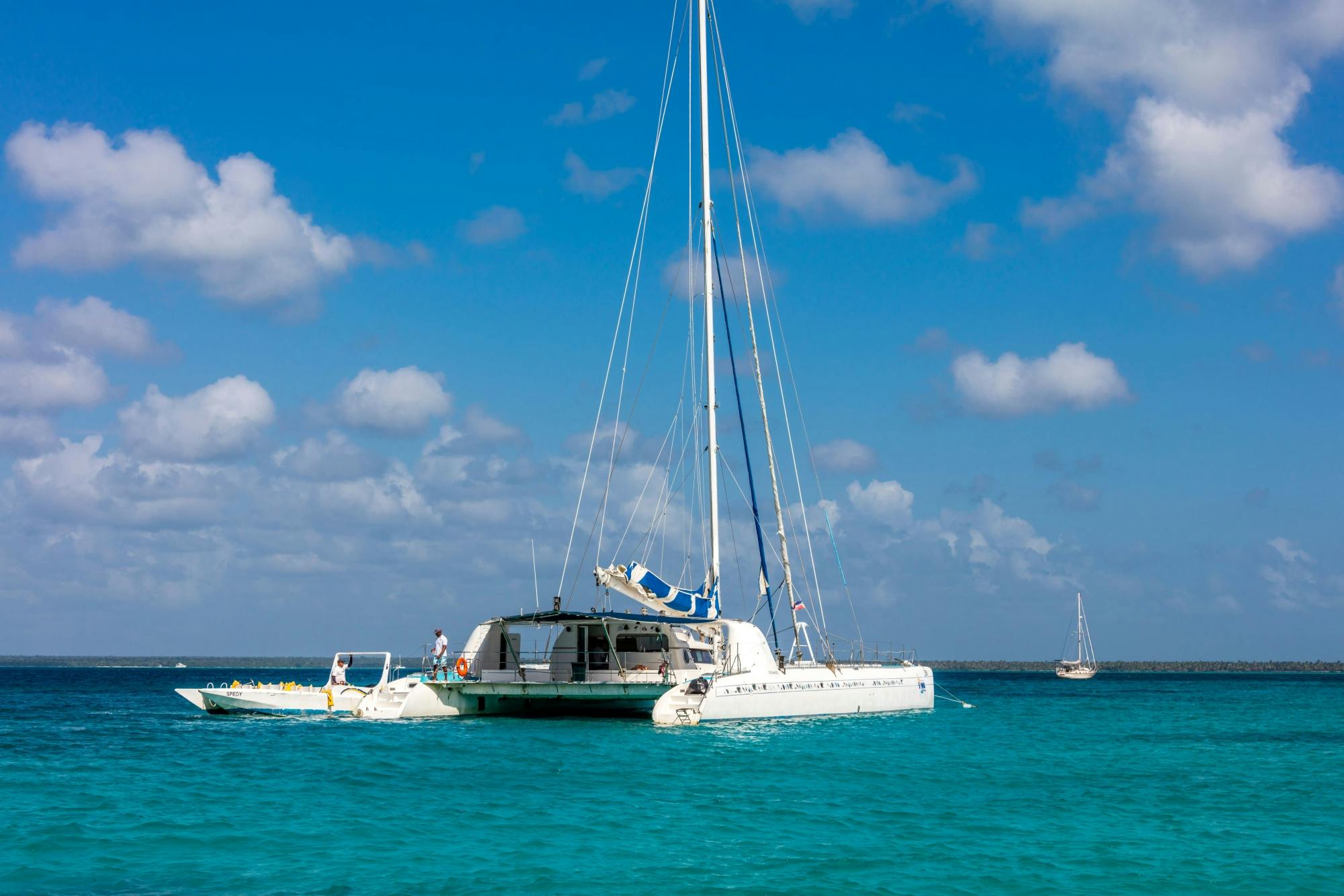 Saona Island Highlights Tour by Boat with Buffet Lunch