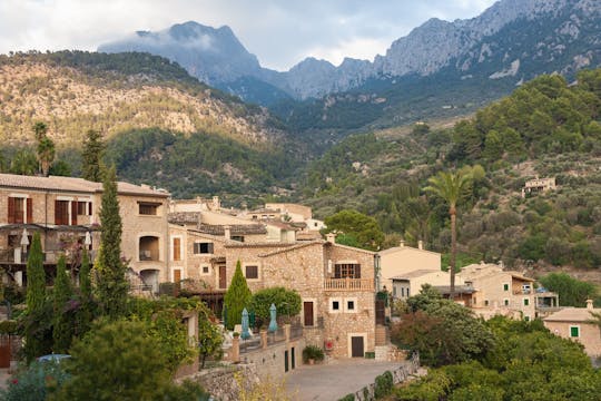 Escursione panoramica di mezza giornata a Fornalutx