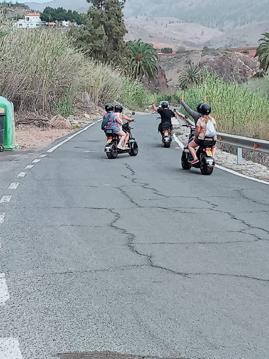 Tour in monopattino elettrico del monte Ayagaures per conducente e passeggero