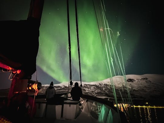 Northern lights cruise from Tromso with hot tub