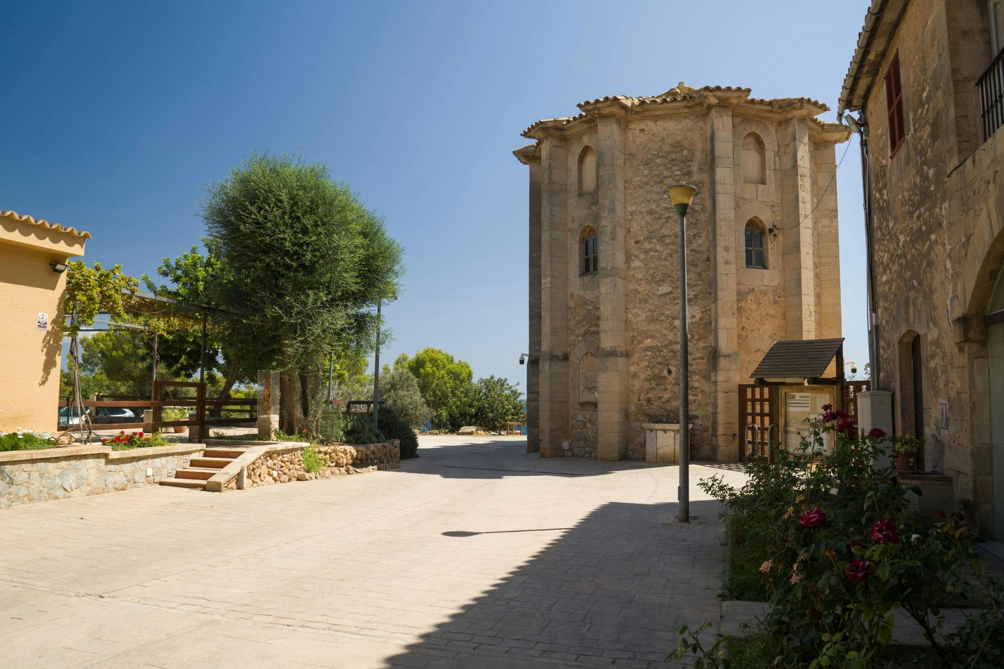 Majorca photographic sightseeing tour