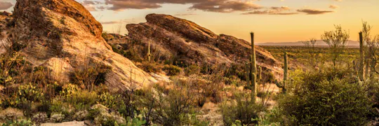 Saguaro National Park Audio Tour met gids