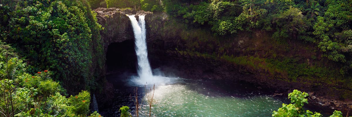 Autoroute door Maui