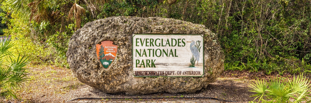 Everglades National Park Self-Guided Driving Audio Tour | musement