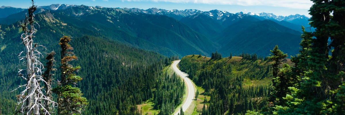 Olympic National Park audiotour met gids