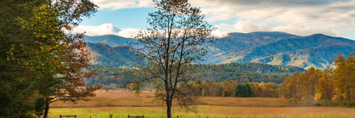 Tour audio di guida autoguidato di Cades Cove