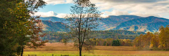 Cades Cove Self-Guided Driving Audio Tour