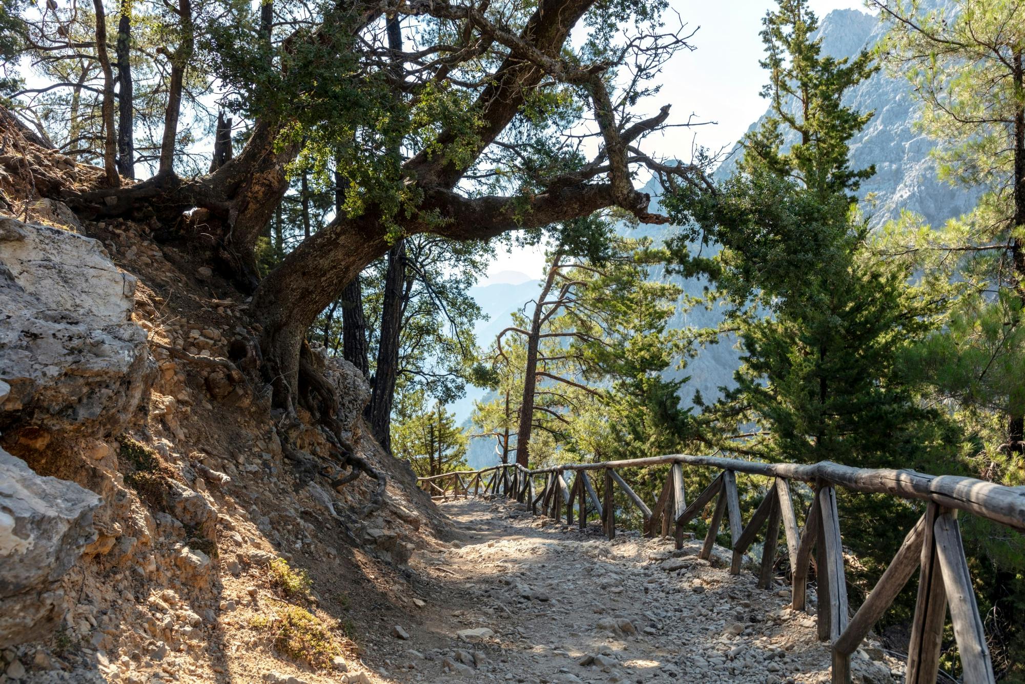 Samaria Gorge Tour