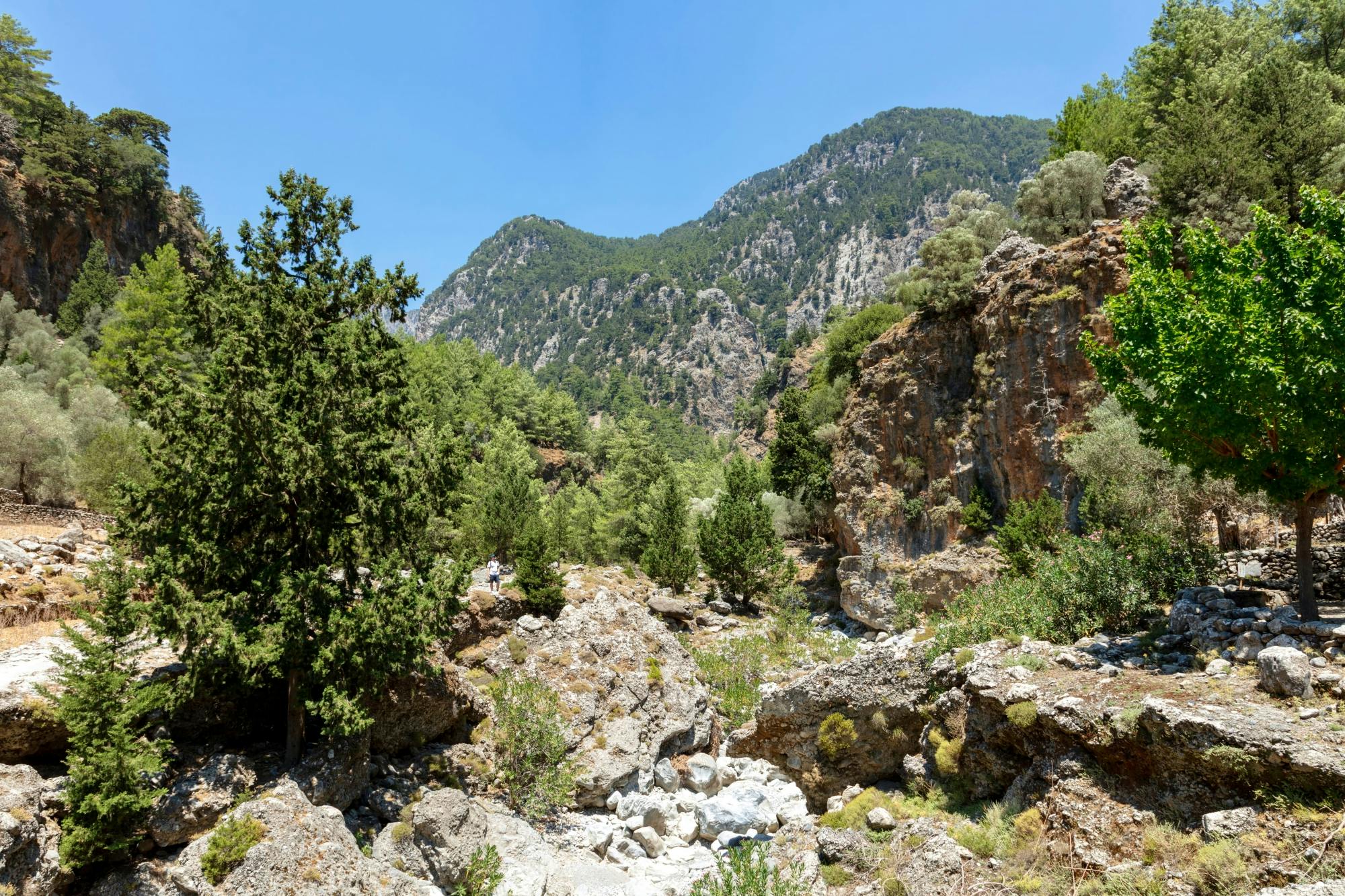 Samaria Gorge Tour