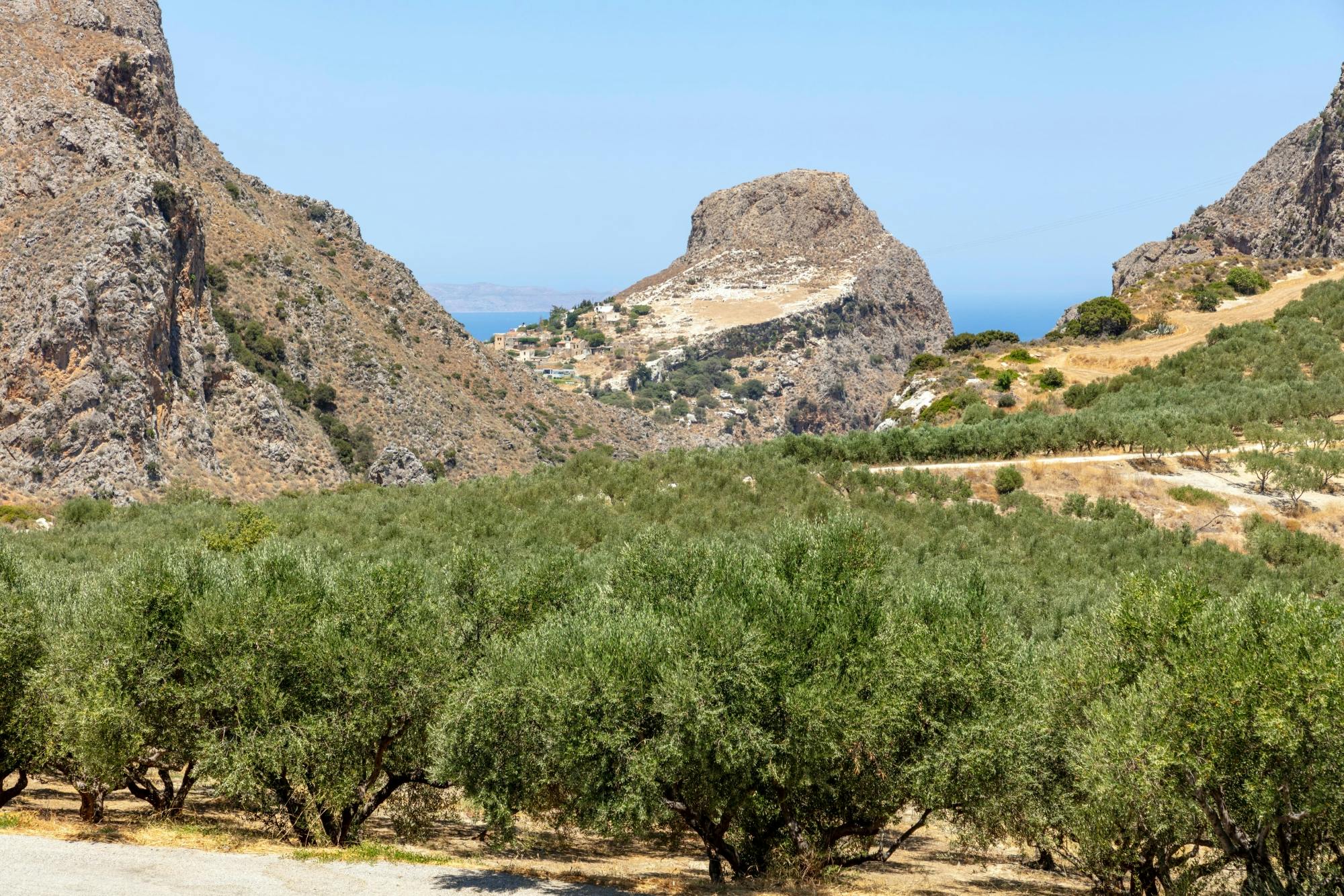 Tour of Western Crete with Winery and Olive Oil Estate