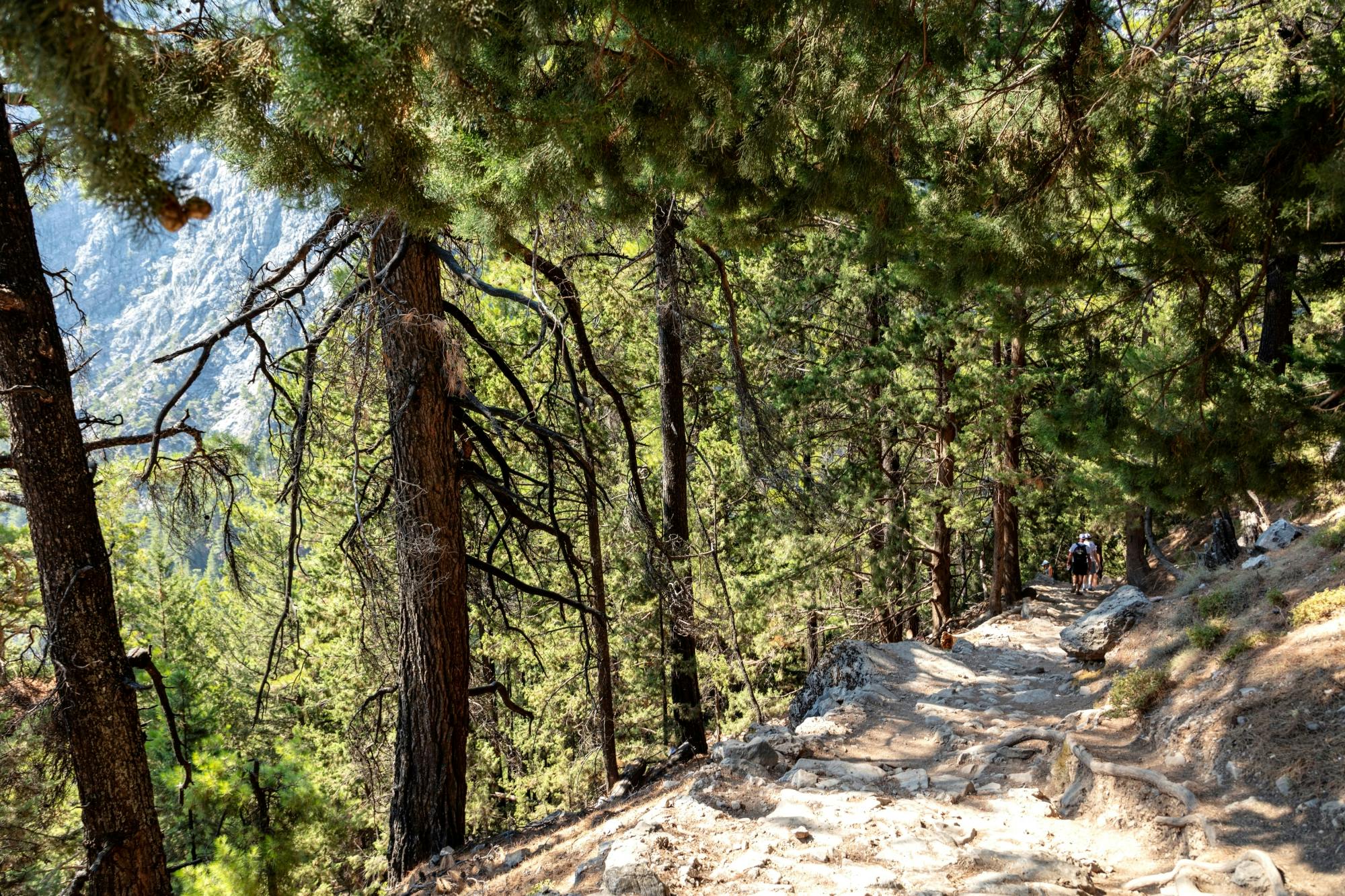 Samaria Gorge Tour