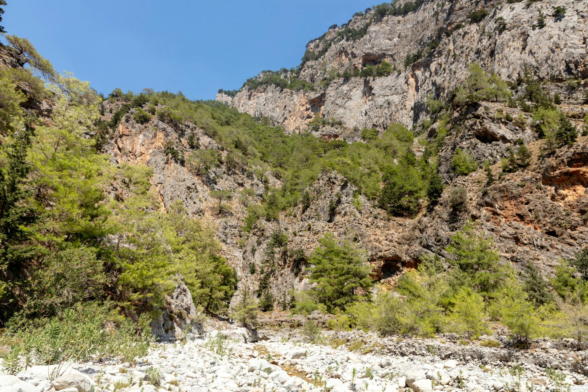 Samaria Gorge Tour