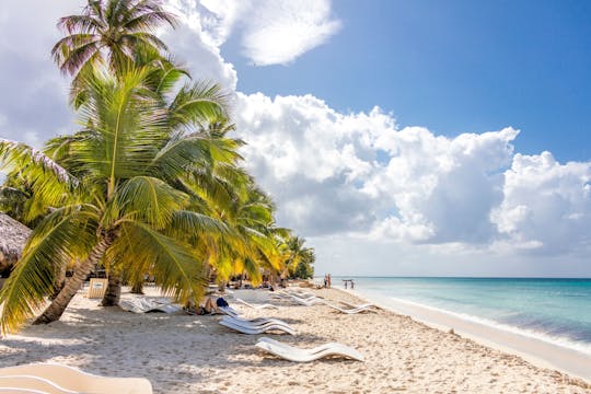 Saona Island Highlights Tour by Boat with Buffet Lunch