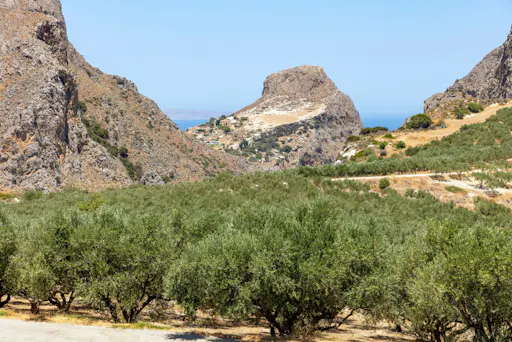 Tour of Western Crete with Winery and Olive Oil Estate
