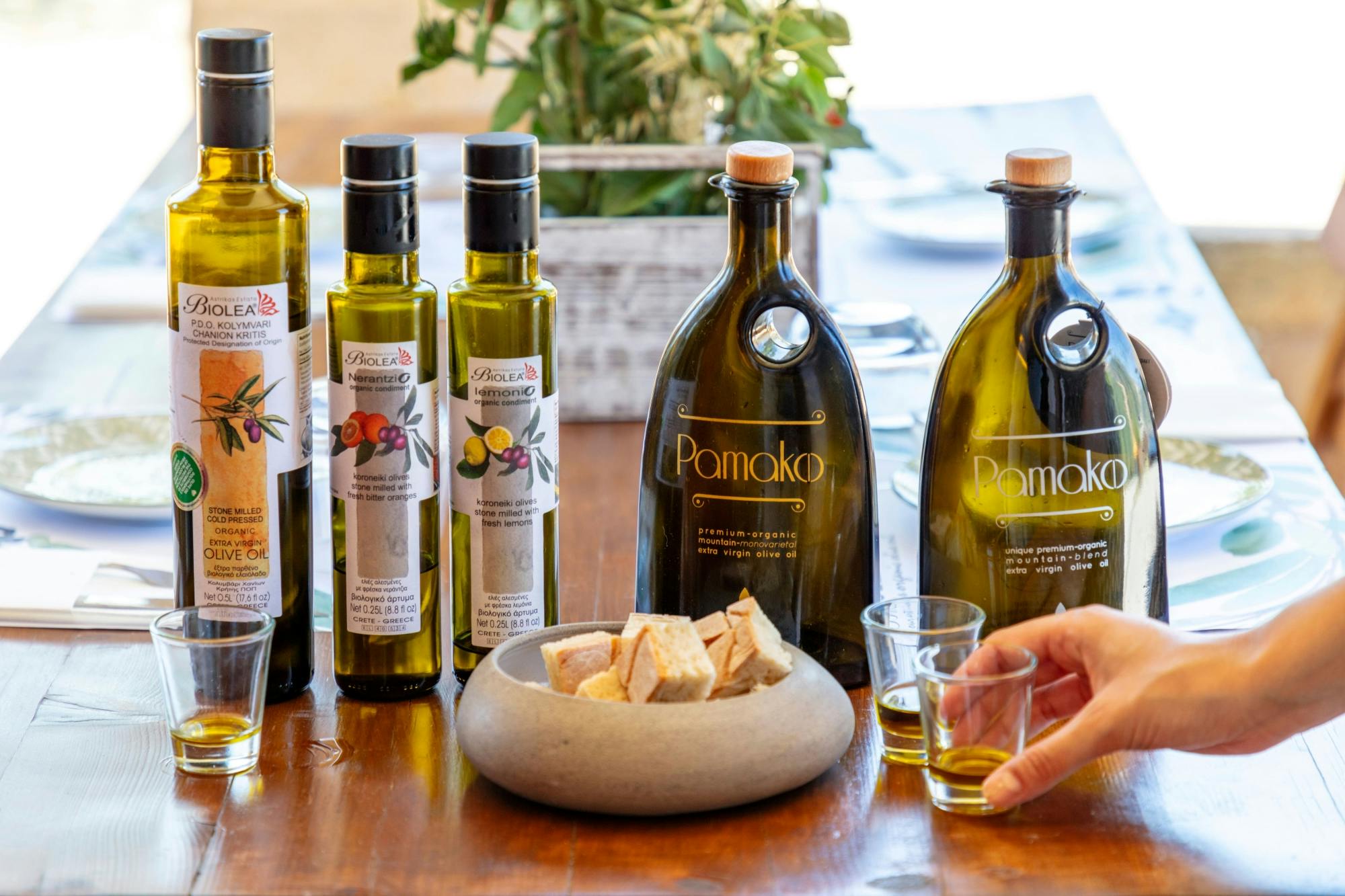 Tour of Western Crete with Winery and Olive Oil Estate