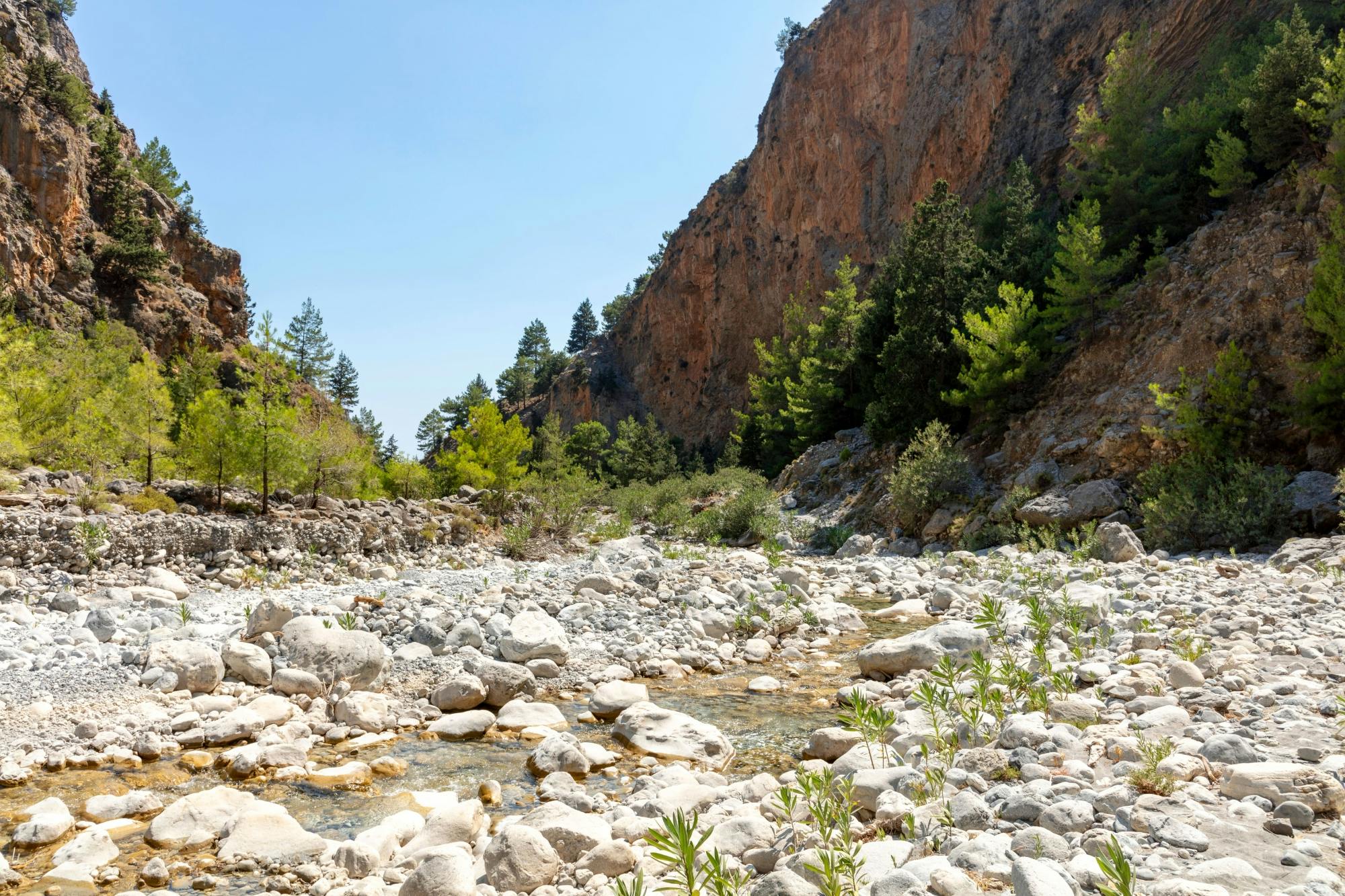 Samaria Gorge Tour