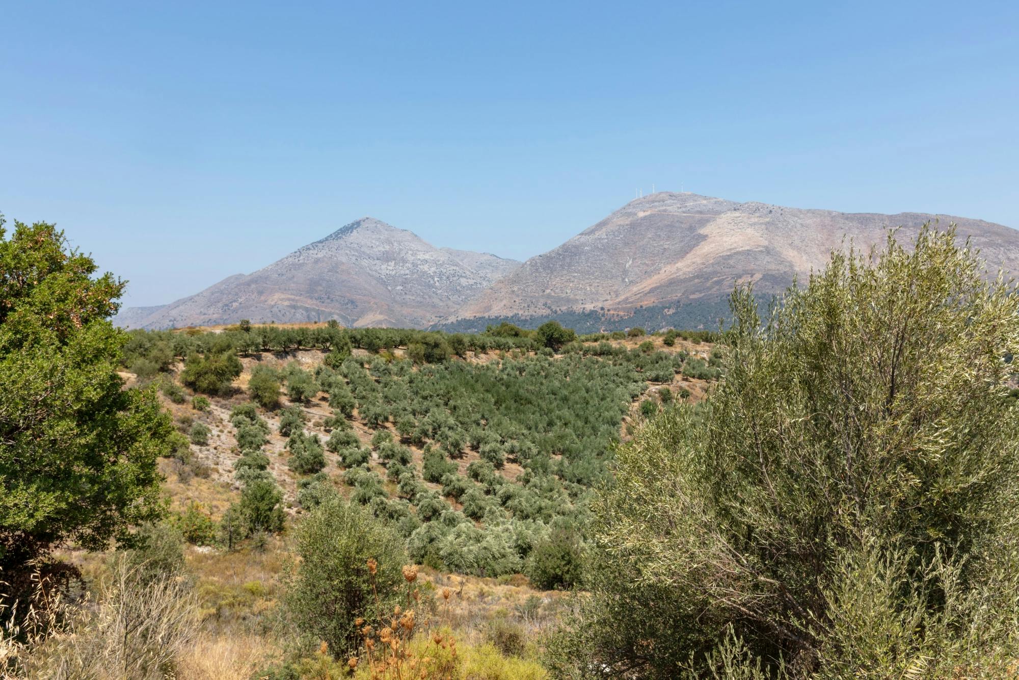 Crete 4x4 Mount Psiloritis Tour with Typical Meze Lunch