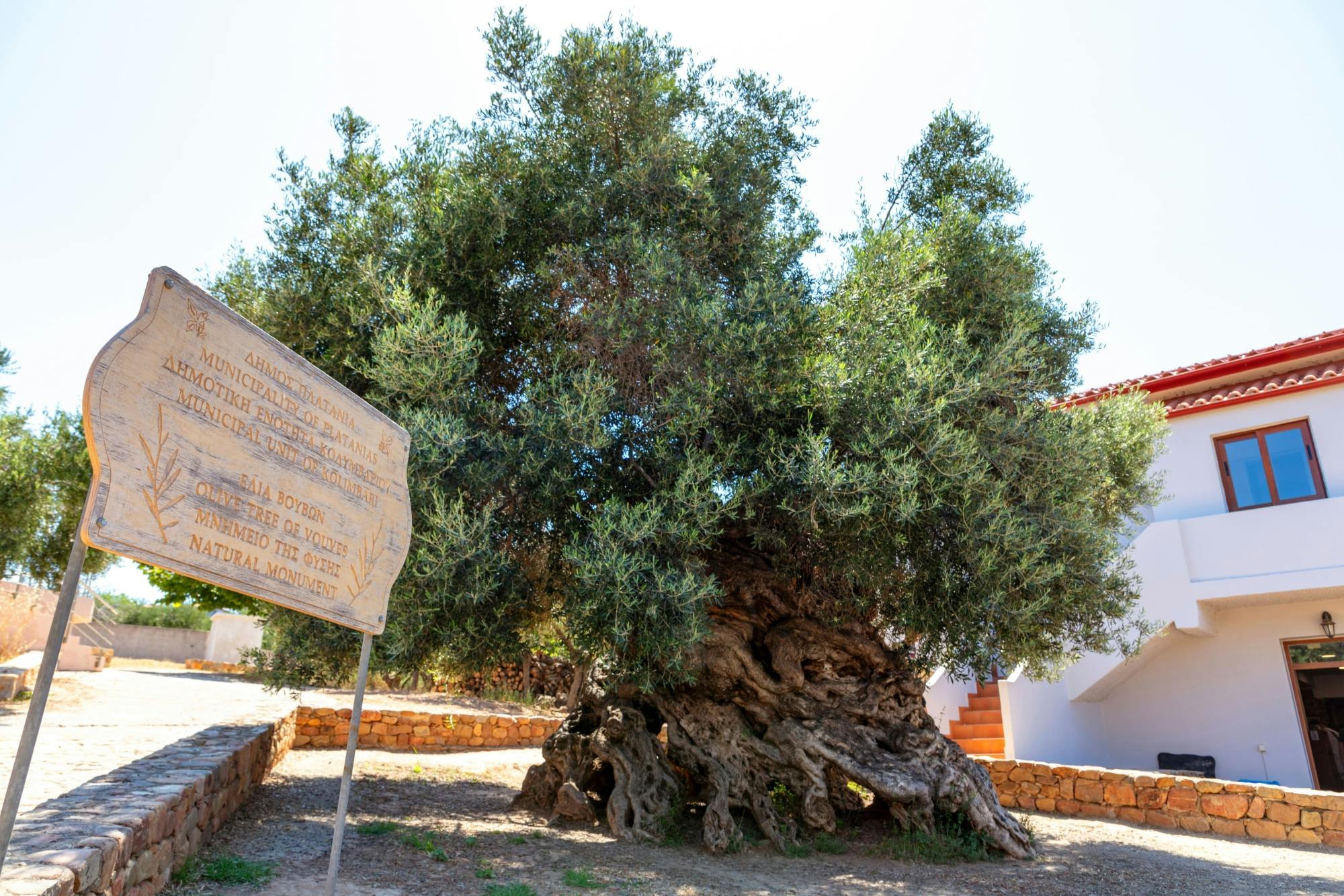 Tour of Western Crete with Winery and Olive Oil Estate