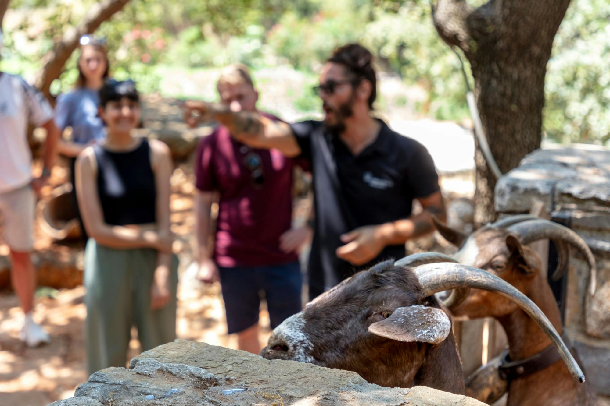 Crete 4x4 Mount Psiloritis Tour with Typical Meze Lunch