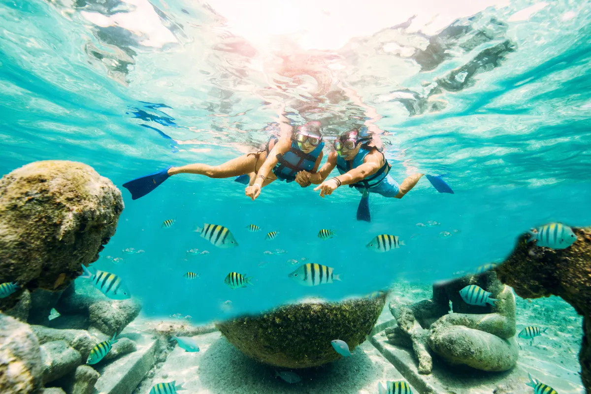 Dolphin Give me All-Inclusive Package with Garrafon Park Tour