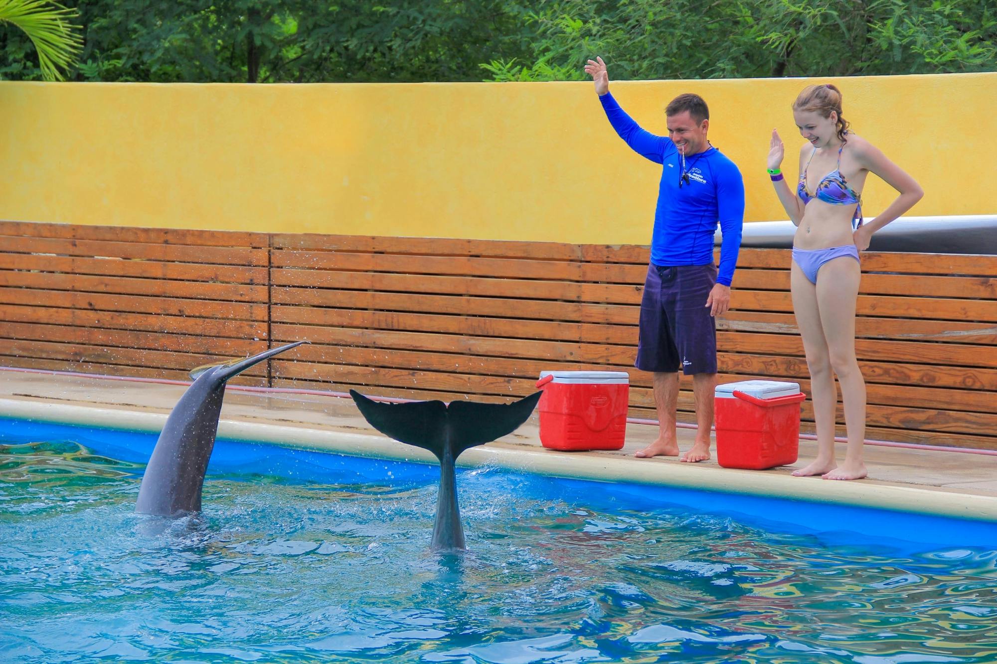 Puerto Vallarta Dolphin Trainer Ticket